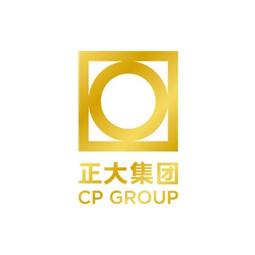 正大集团